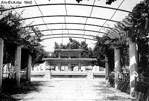 AIN EL ARBA 03PF
